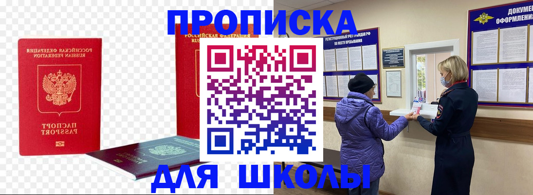 где прописаться в Гатчине